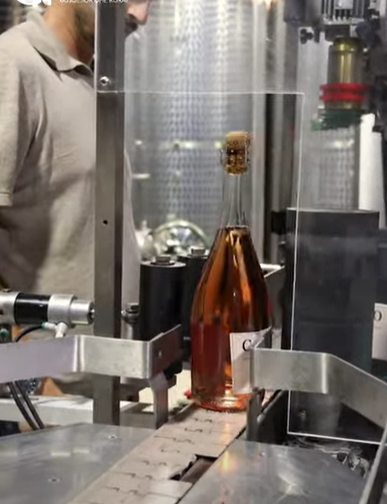 Rama: Weingut „Caco“ in Pogradec verbindet Familientradition mit Investitionen in Technologie