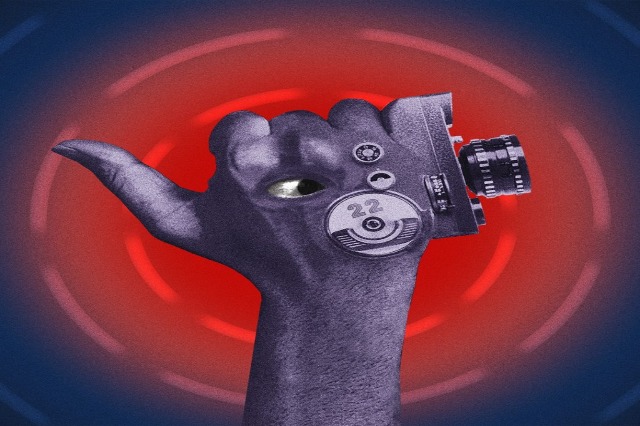 TIFF with a new visual identity in the 2024 edition