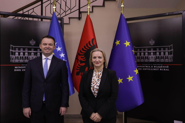 Denaj meets with the counterpart from Kosovo