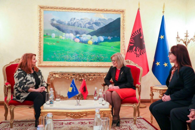 Nikolla: Intense cooperation with the Assembly of Kosovo