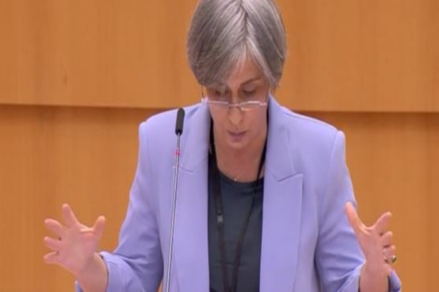Rapporteur for Albania in the EP: Date for the first conference should be set