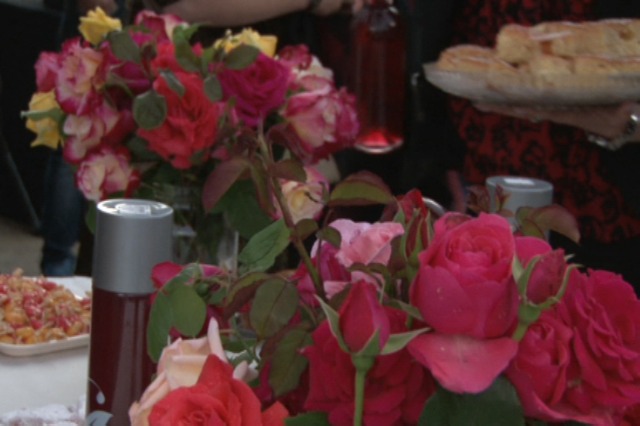 “Rose Festival” in Pojan of Maliqi celebrated