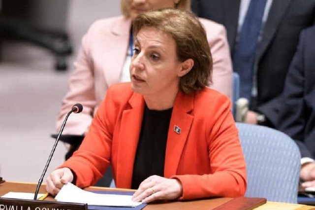 Gërvalla Represents Kosovo at the UN Security Council Session