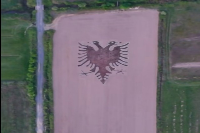 Eagle designed in rice seeds in lower Shkodër, an appeal to cultivate the farming land