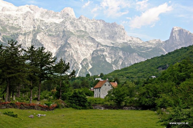 Albanian Alps, over 1,600 plant species in the rich habitats of forests and meadows