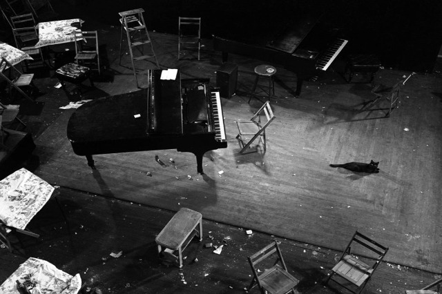 “Gjon Mili, Jazz&Blues” festival comes to Tirana