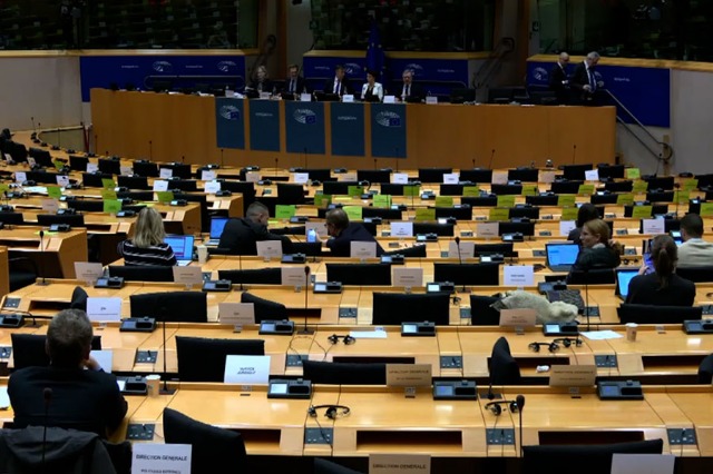 Austrian MEP Calls for International Investigation into Zubin Potok Attack