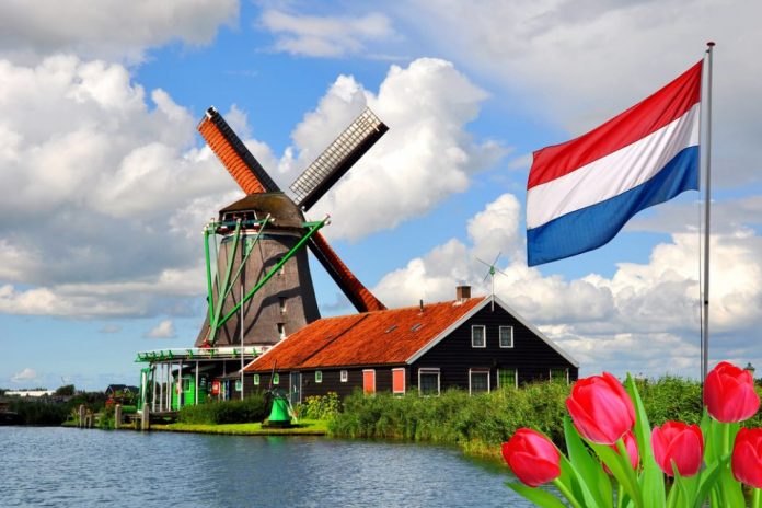 Tirana Prepares for Dutch Cultural Week
