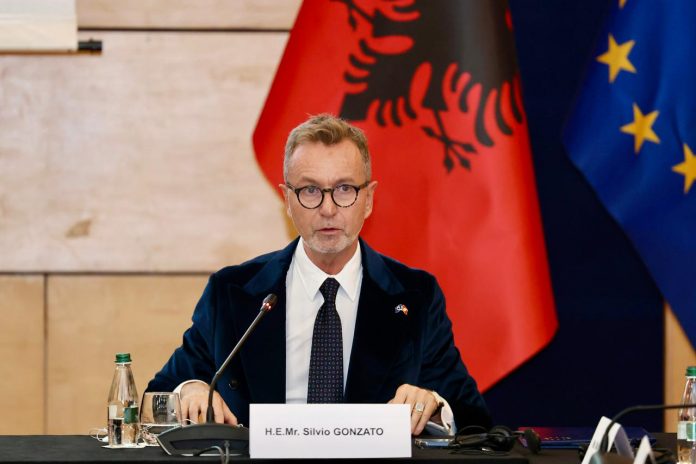 Gonzato: We call for comprehensive electoral reform in line with OSCE-ODIHR recommendations