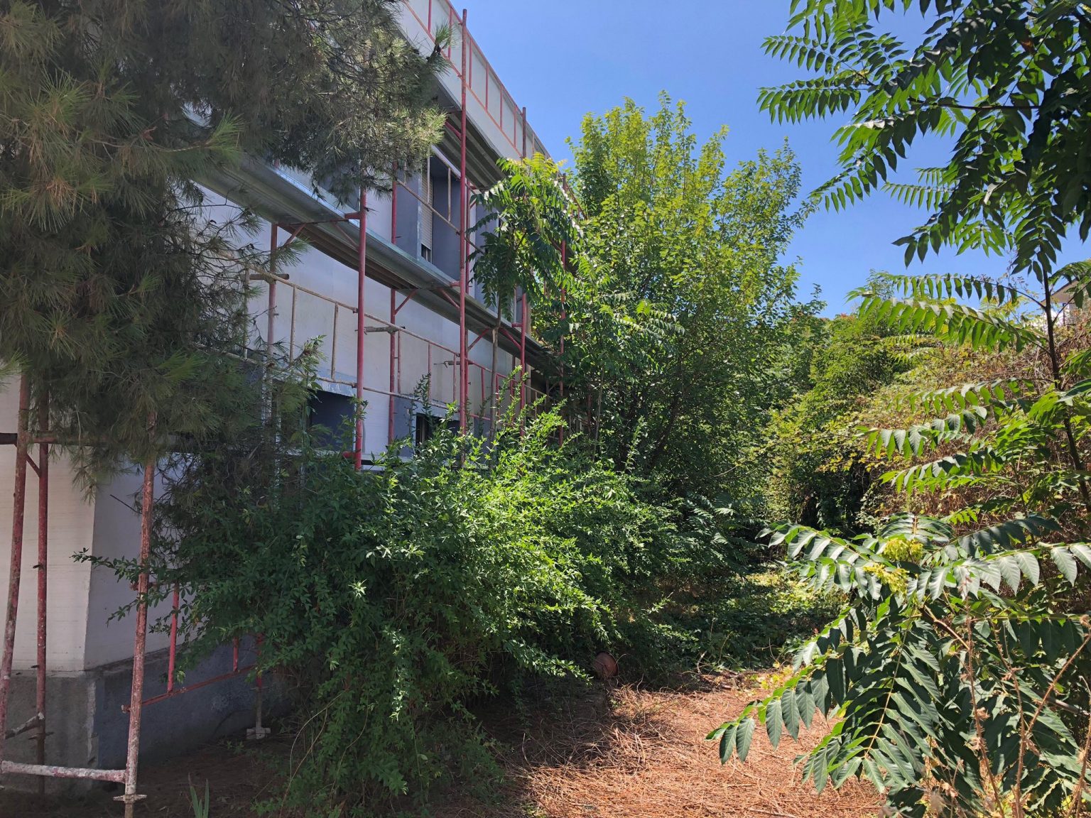 Abandoned Kinostudio Space to Become Summer Cinema
