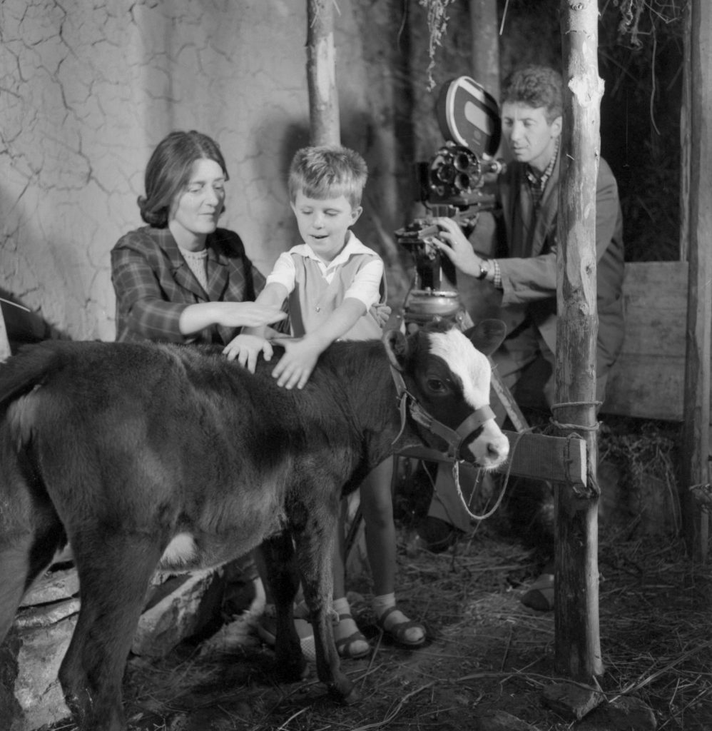 “Beni Walks on His Own” marks its 50th anniversary