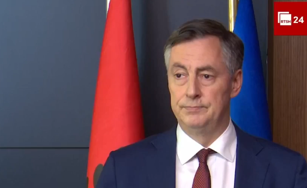 McAllister urges dialogue in Tirana, warns against polarization and violence
