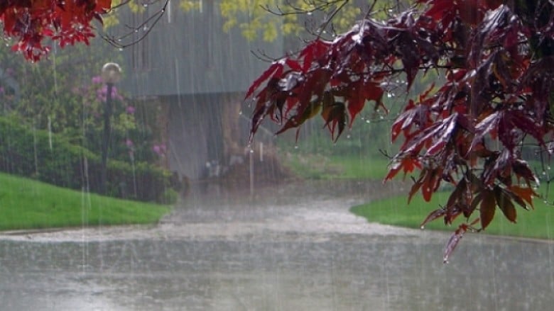 Today is a rainy day across most of the country, with some areas experiencing thunderstorms