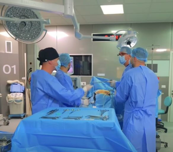 International Doctors’ Day: PM Rama praises vital role of Albanian physicians