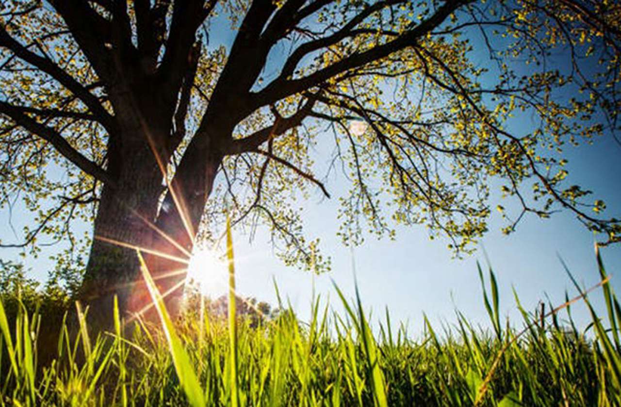 Weather/ Sunshine across the country today, clouds will be brief