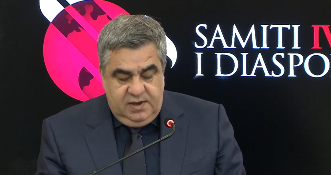 Diaspora must become an active force in decision-making, says Tourism Minister