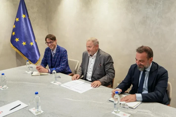EU Parliament Rapporteur Urges Kurti to Form Functional Coalition