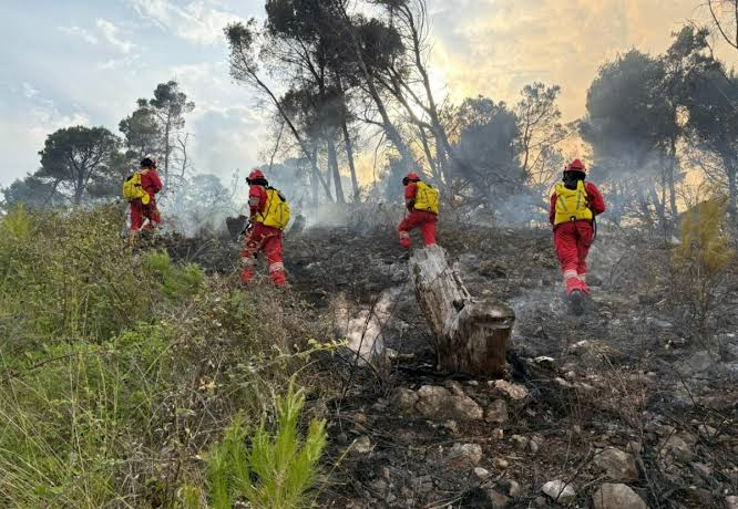 Wildfire situation improves, fires extinguished in Lura National Park and Mat