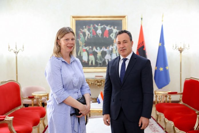 Peleshi Meets New Dutch Ambassador, Calls for Stronger Political Dialogue
