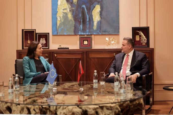 Demo meets EU Ambassador: Stronger cooperation on security and European integration