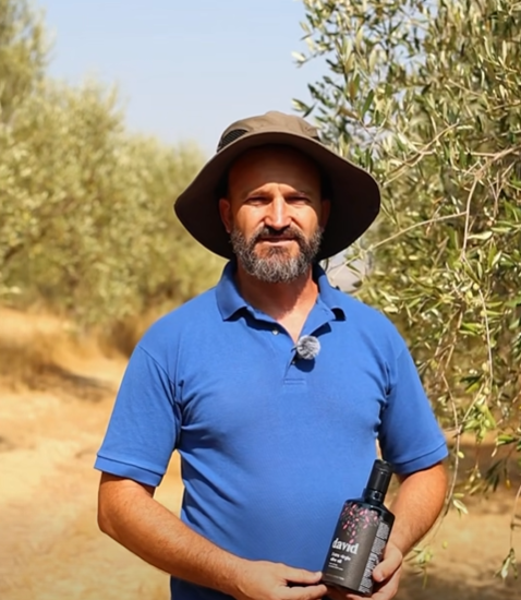 Rama: Vlora Olive Grove Exports Premium Extra Virgin Olive Oil to Europe and US