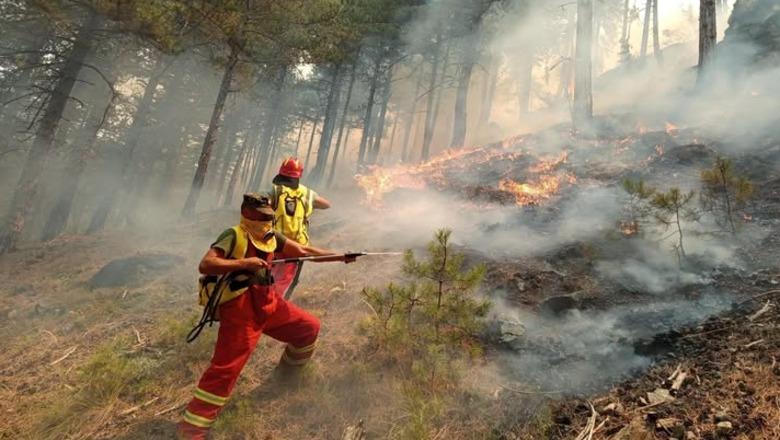 Defence Ministry: 20 wildfires reported, four remain active