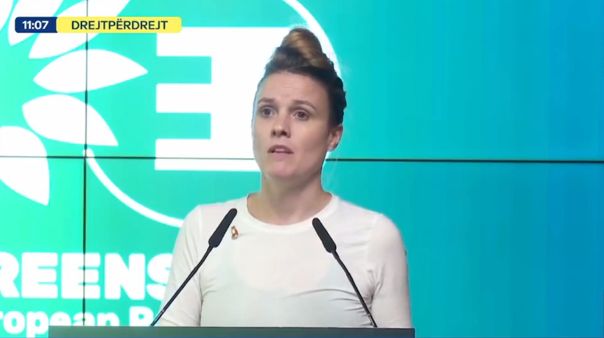 German MEP: European Parliament wants Albania to join EU as soon as possible while meeting environmental and democratic standards