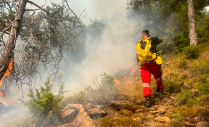 Ministry of Defense: 40 wildfires reported across Albania, six remain active