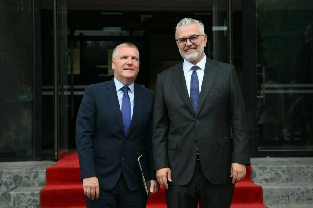 Justice minister Toni Gogu, EU commissioner Michael McGrath discuss reform and integration