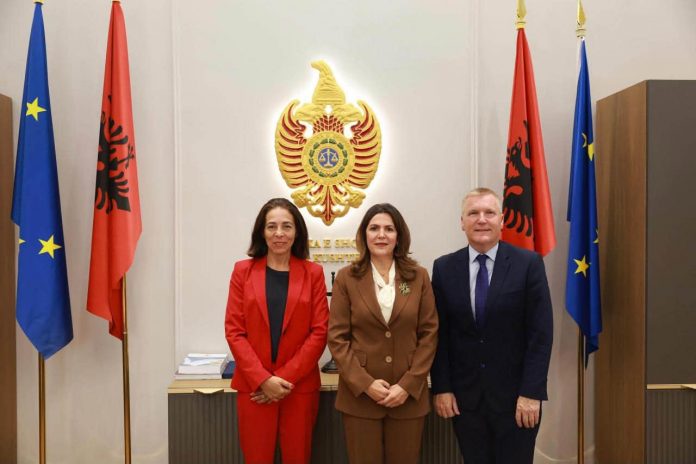 Papajorgji Meets EU Commissioner McGrath to Discuss Constitutional Court Decisions
