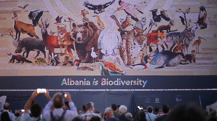 “L’Albania è biodiversità”, il nuovo mosaico che porta la natura nel cuore di Tirana