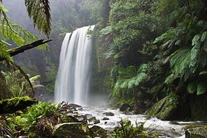  Albania e Balcani verso un quadro comune per la tutela della natura
