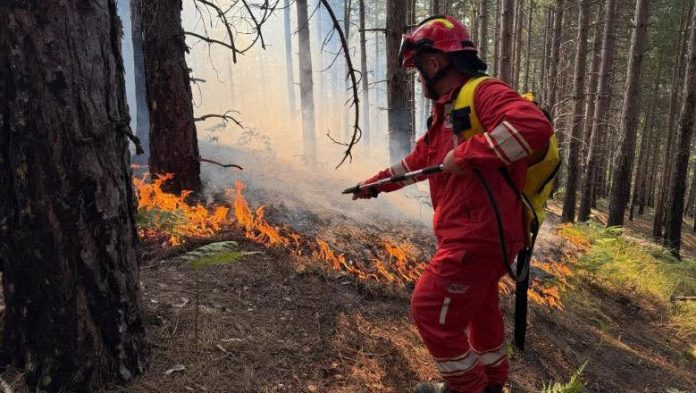 Incendi a Lezha, il sindaco Ndreu, si appella ai cittadini: “Mostrate responsabilità”