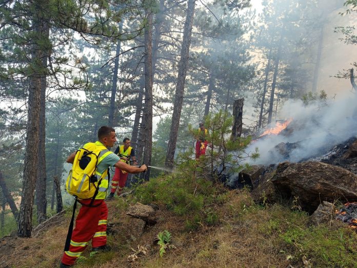 Arnavutluk’ta orman yangınları: 13 noktada yangın çıktı, 7’si aktif