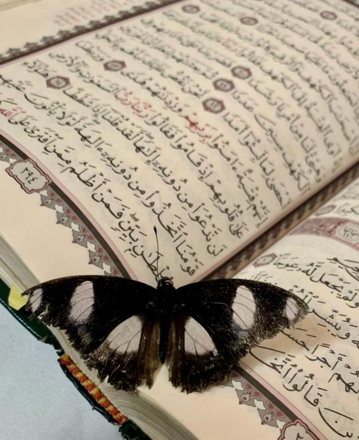 Ramazan Bayramı İçin Tebrik Mesajları