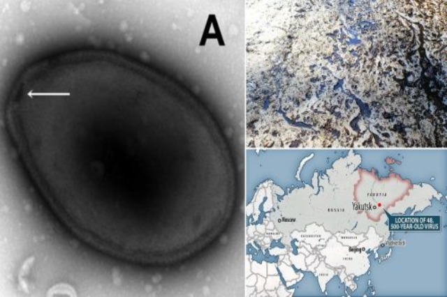 Një virus 48,500-vjeçar është ringjallur nga ngrica siberiane