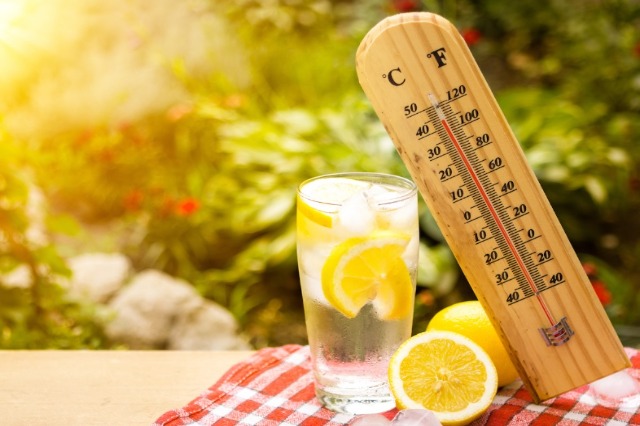 Shumë e nxehtë? Këto janë ushqimet më të mira për të luftuar temperaturat e larta