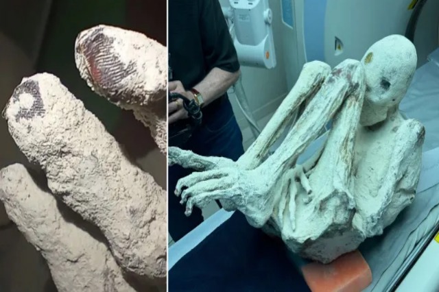 ‘Mumjet e huaja’ të gjetura në Peru kanë gjurmë gishtash që ‘nuk janë njerëzore’