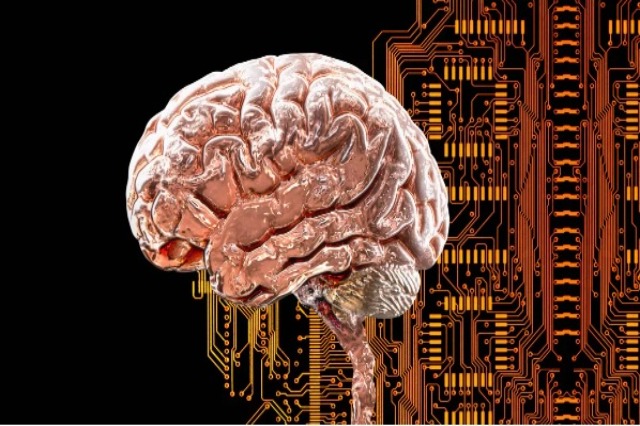 Një rrjet misterioz i trurit mund të jetë themeli i shumë çrregullimeve