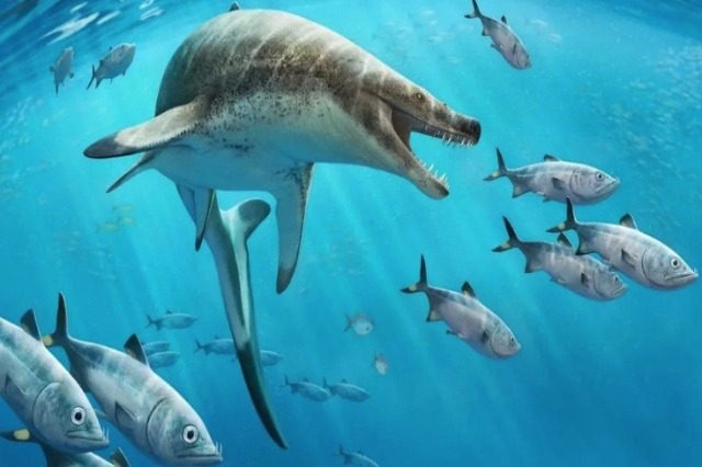 Një “makth”, gjenden fosilet e krijesës detare të epokës së dinosaurëve