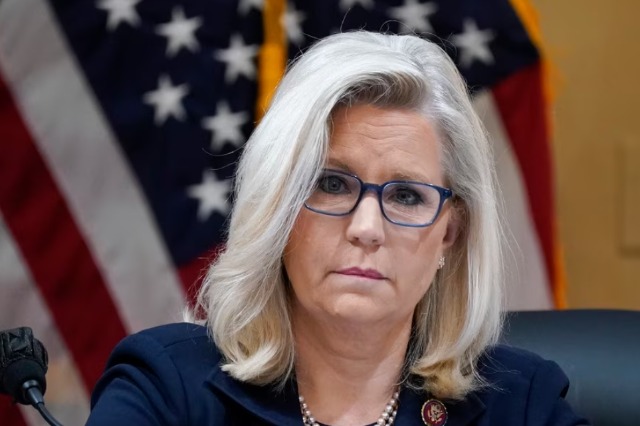 Liz Cheney në fushatë me demokraten Harris; Donald Trump tubim në Miçigan