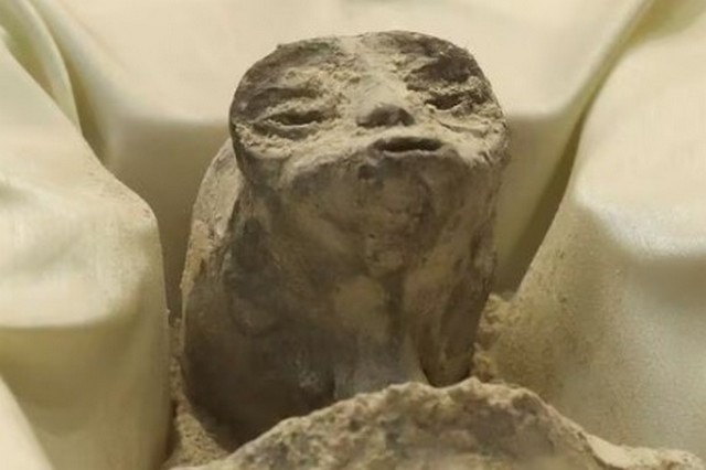 Ekspozohen “alienët” në Meksikë/ Ufologu tregon “ADN-në” e panjohur nga njerëzimi