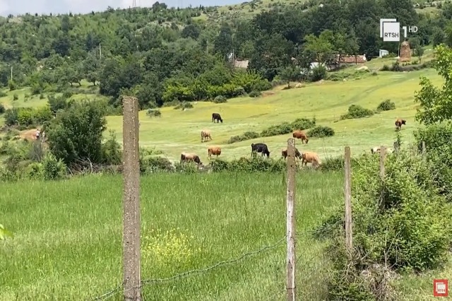 Turshite Kukësi përgatitet për dimrin, burrat mbledhin drutë, gratë përgatisin ...