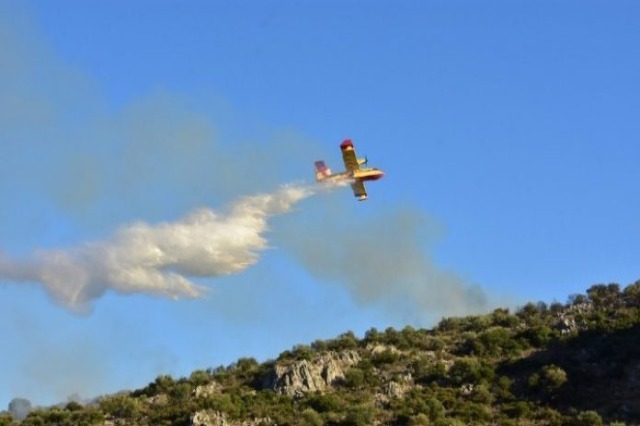 Greqi,  zjarret mbajnë në ankth vendin, një avion rrëzohet