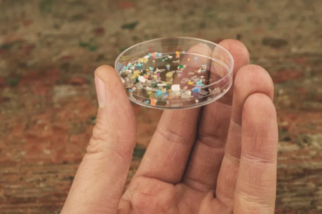 Studimi: Truri i njeriut përmban nivele të habitshme të plastikës