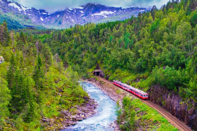 FOTO/ Rruga më e lartë hekurudhore në Evropën veriore, mrekullia inxhinierike e Norvegjisë prej 496 km