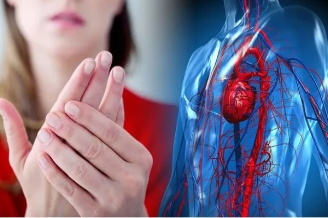 Shenjat paralajmëruese që tregojnë se keni qarkullim të keq të gjakut në trup