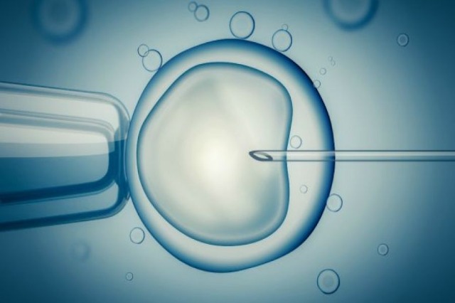 Shkencëtarët zhvillojnë teknikën IVF që u lejon prindërve të zgjedhin seksin e foshnjave të tyre