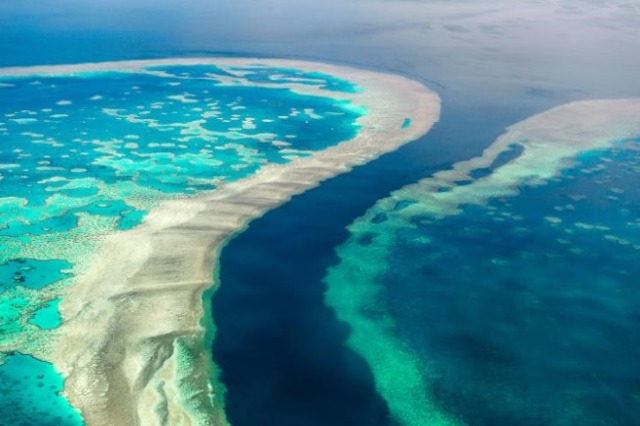 Barriera e Madhe Koralore e Australisë mbetet jashtë listës së UNESCO-s
