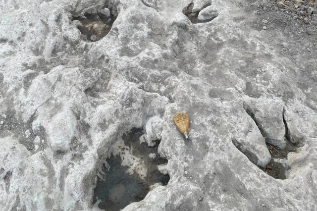 Nivelet e ulëta të ujit zbulojnë gjurmët e dinosaurëve, datojnë 110 milionë vjet më parë